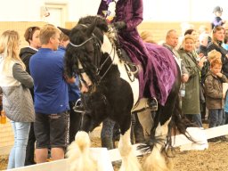 IMG_5362_web